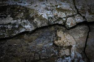 grunge concrete texture photo