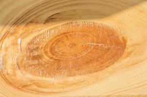 close up of tree cut background photo