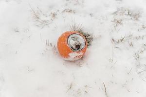 burned grapefruit on snow background photo
