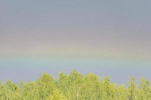rainbow over forest photo