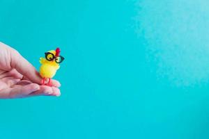 little yellow chicken in glasses in female hands on a blue background photo