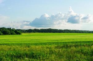 rural landscape in summer photo