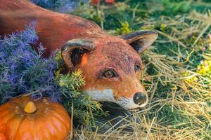 un zorro artificial caza en la hierba foto