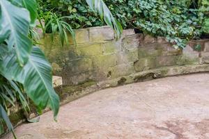 pared de piedra de ladrillo en jardín tropical. paisaje natural foto