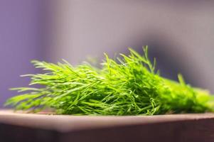 green dill on cutting desk soft focus photo