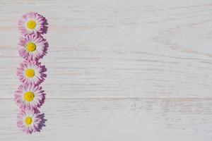 pink Daisy flowers on wooden table background with copy space photo