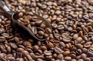 coffee beans and scoop photo