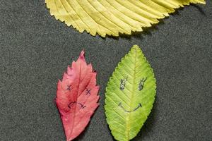 Green and red leaves with a picture of happy and sad faces on black background photo