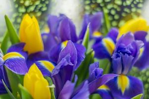 ramo de flores de iris violeta y tulipanes amarillos foto