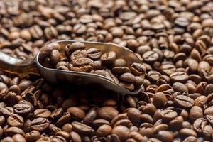 coffee beans and scoop photo