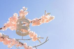 White decorative bird cage hanging on branch of blooming apple tree on sky background. Spring city decoration photo