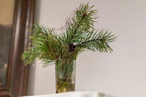 pine branches in vase interior decoration photo