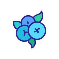 blueberry plant icon vector outline illustration