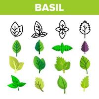 Basil Leaves Vector Thin Line Icons Set