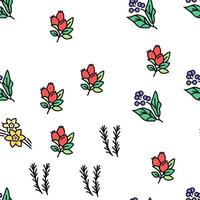 Aromatherapy Herbs Vector Seamless Pattern