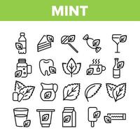 Mint Refreshing Leaf Collection Icons Set Vector