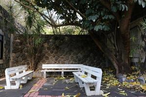 Bench in a city park on the Mediterranean coast photo