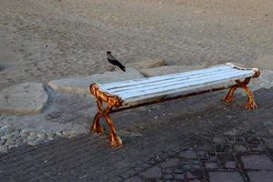 banco para descansar en el parque de la ciudad. foto