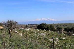 There is snow on Mount Hermon in northern Israel. photo