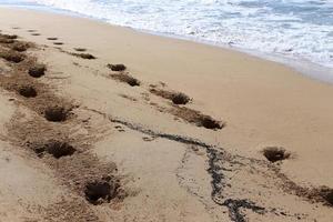 Footprints in the sand on the city beach. photo