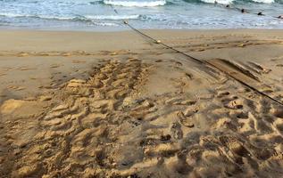 Footprints in the sand on the city beach. photo