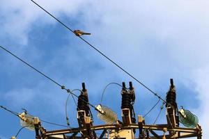 Electrical wires carrying high voltage current. photo