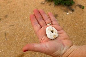 piedras en un parque de la ciudad en la costa mediterránea foto