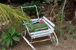 silla de paseo para el transporte de pequeñas cargas. foto