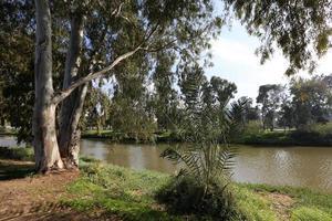 The Yarkon river in the city park in Tel Aviv. photo