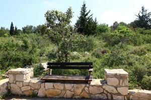 Bench in a city park on the Mediterranean coast photo