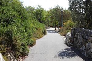 Road for walking in the city park. photo