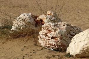 Stones in a city park on the Mediterranean coast photo