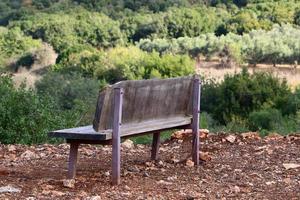 banco para descansar en el parque de la ciudad. foto