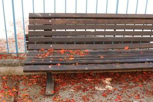 banco para descansar en el parque de la ciudad. foto