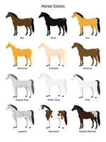 conjunto de vectores de diferentes colores de caballo