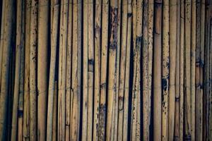 textura de fondo de bambú oscuro foto