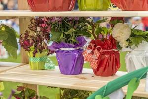 flowers in decorated pots on shelf outdors
