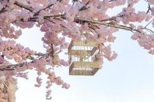 White decoraretive bird cage hanging on branch of blooming apple tree on building background. Spring city decoration photo