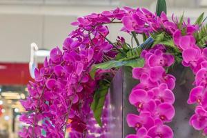 artificial orchid flower decoration photo