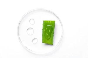 Aloe vera extract research in laboratory with a petri dish on white background for aloe vera research advertising , photography science content , top view photo