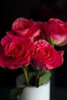 rosas rosadas en un jarrón blanco sobre fondo negro foto