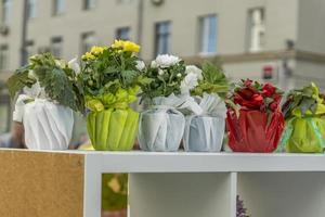 flowers in decorated pots on shelf outdors photo