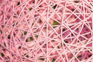 dry twigs rolled in a ball. Pink rattan ball background photo