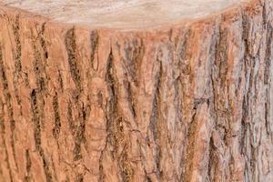 stump texture background photo