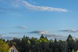 roof top on blue sky and green trees background photo
