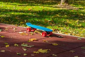 abandoned skateboard in park photo