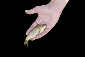 mano de hombre sosteniendo pescado wresh aislado sobre fondo negro foto
