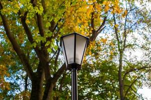 Street light in the park photo