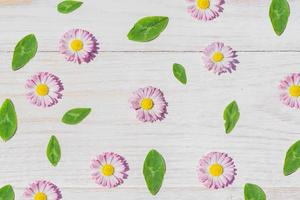 pink Daisy flowers on wooden table background with copy space photo