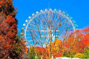 Ferris wheel and amusement park of  beautiful autumn in Everland South Korea. photo